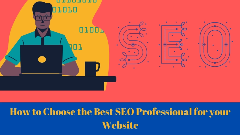 How to Choose the Best SEO Professional for your Website