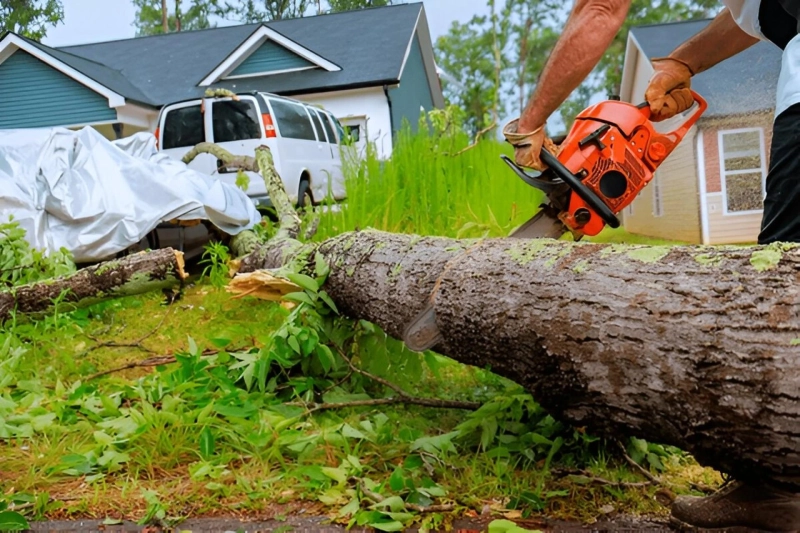 How Storm Damage Restoration Helps Prevent Long-Term Property Loss