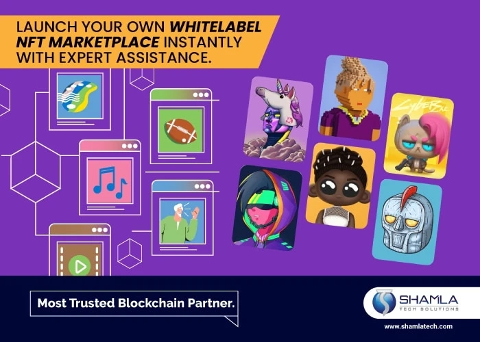 GET HIGHLY EFFICIENT WHITELABEL NFT MARKETPLACE FROM EXPERTS