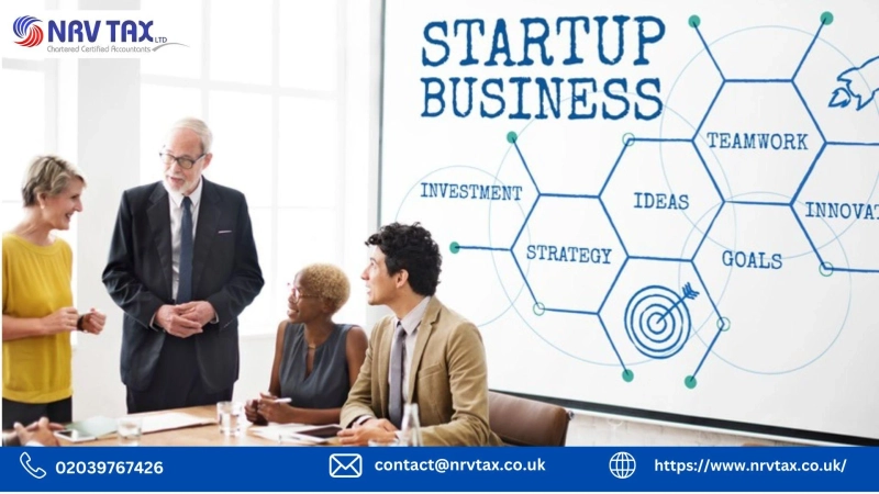 Business Start Up Essex: Complete Guide to Launching and Growing Your Business