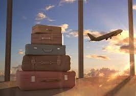 Jumping Across Continents: The Traveling Kangaroo Chronicles