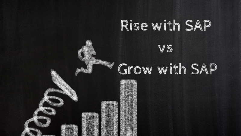 Rise with SAP vs Grow with SAP: A Strategic Roadmap for Business Modernization