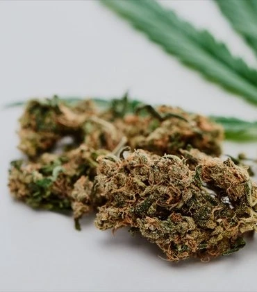 Convenient Weed Delivery in Guelph: Your Ultimate Guide