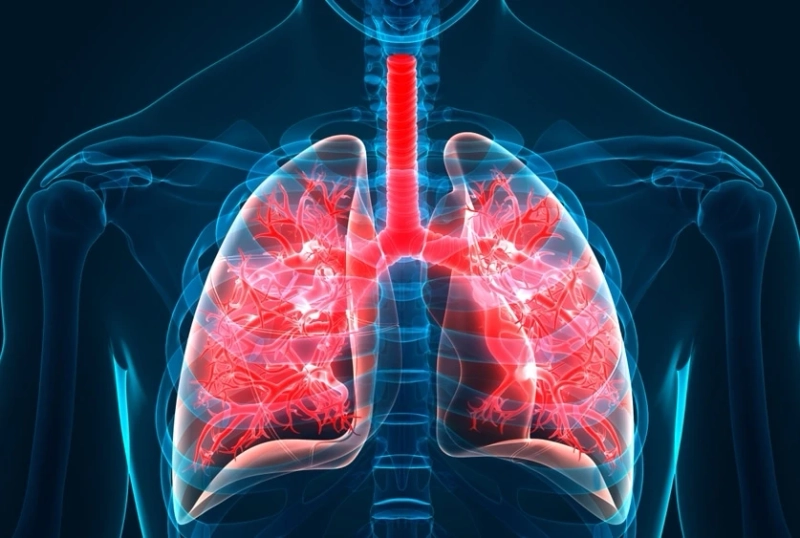 Idiopathic Pulmonary Fibrosis Treatment Market Size Report 2021-26