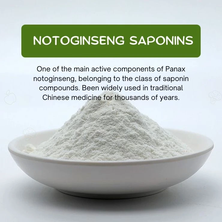 Unveiling Panax Notoginseng Saponins: The Miraculous Component of Health