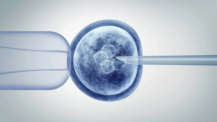 Human Embryonic Stem Cells Market Is Estimated To Witness High Growth Owing To Increasing Research and Development Activities.