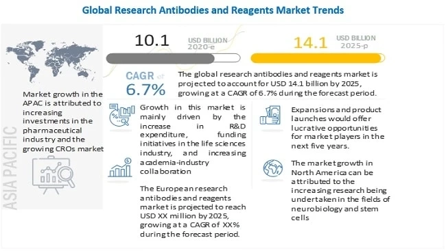 Research Antibodies and Reagents Market worth $14.1 Billion by 2025 - Exclusive Report by MarketsandMarkets™