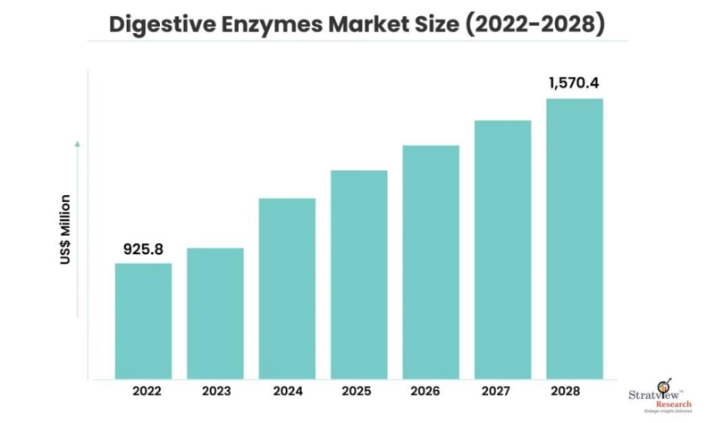 Emerging Applications of Digestive Enzymes in Functional Foods and Supplements