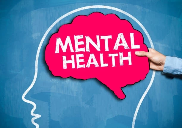 The Mind-Body Connection: Nurturing Mental Health and Wellness for a Harmonious Life