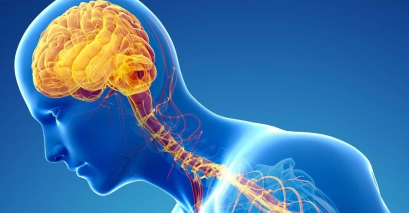 Gene Therapy for Parkinson's Disease: An Exciting Therapeutic Approach