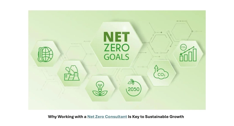 Why Working with a Net Zero Consultant Is Key to Sustainable Growth