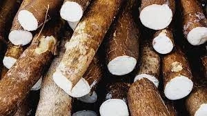 Information regarding cassava flour