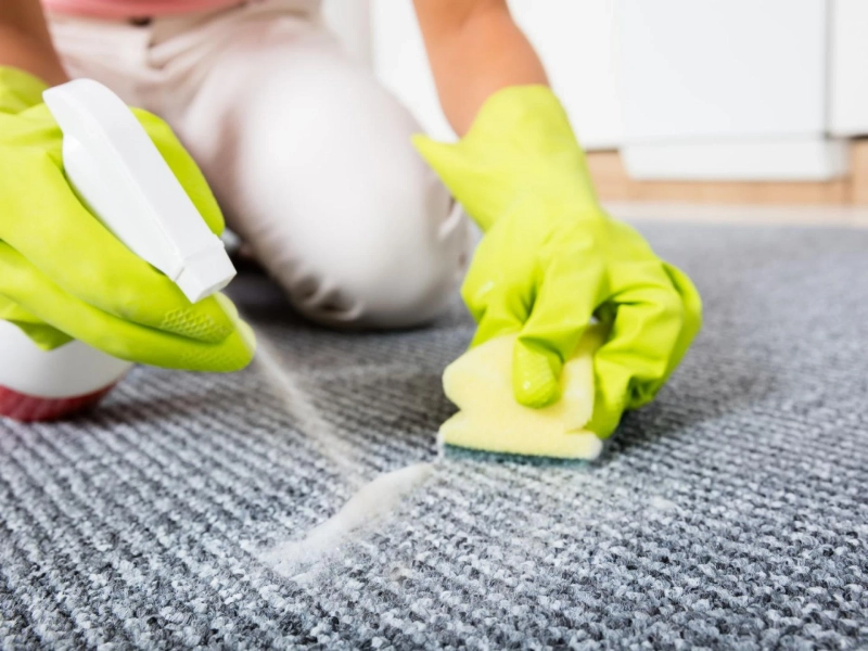 Professional Carpet Stain Removers for Reliable and Effective Results