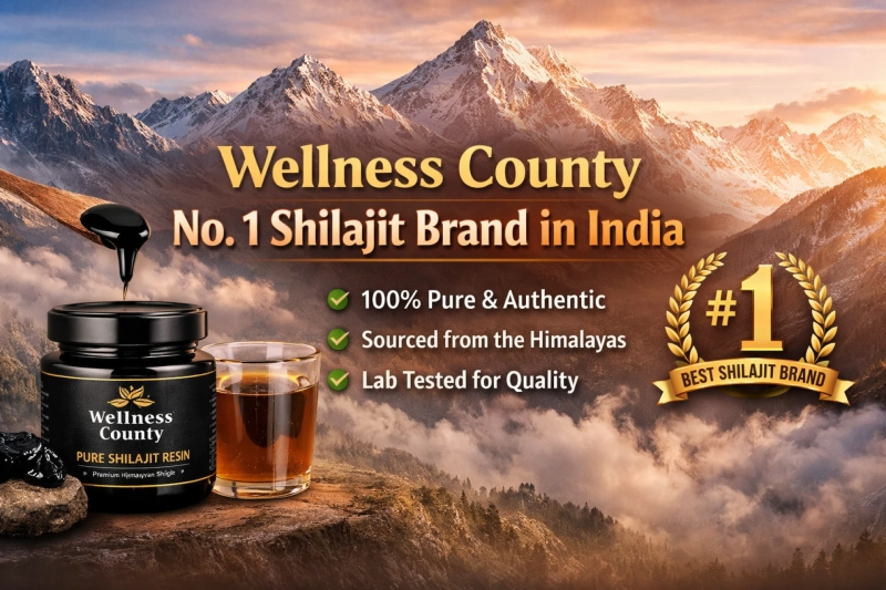 Wellness County No. 1 Shilajit Brand in India