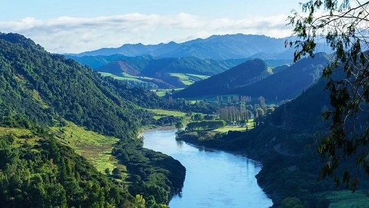 5 Reasons to Book a Whanganui River Canoe Trip ASAP