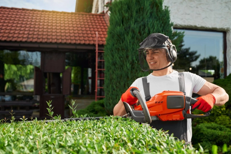 Why Choosing a Professional Lawn Mowing Service Makes a Big Difference for Homes