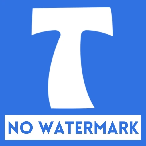 How do I download good-quality TikTok videos for free and without a watermark?