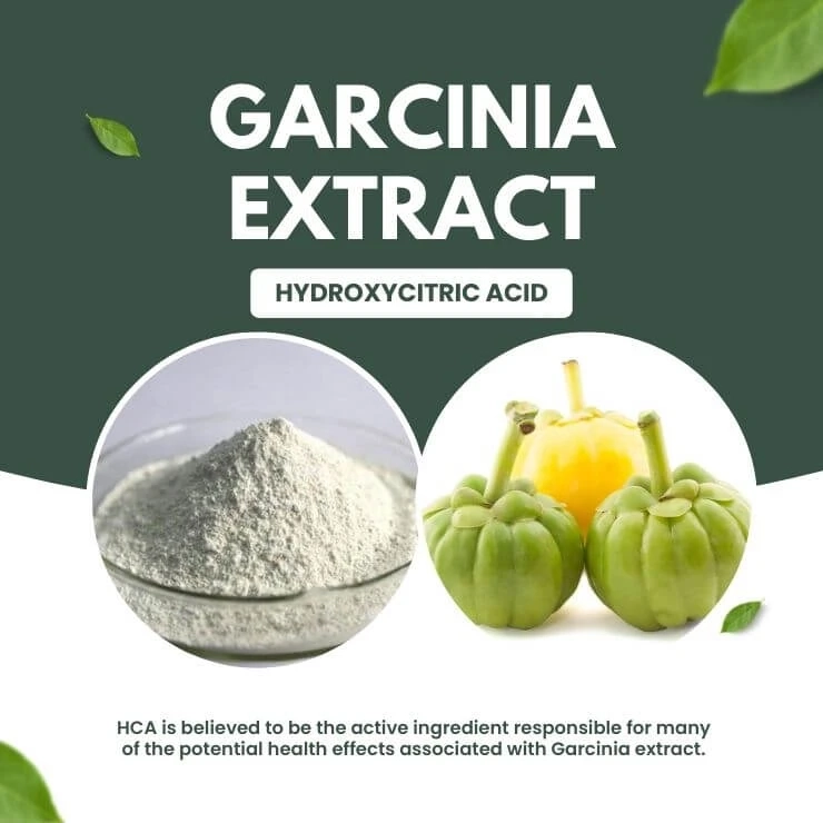 Briefly explain what Garcinia Extract is and its origin