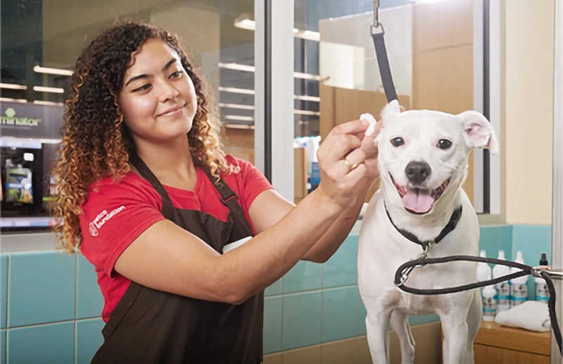 Petco Active Promo Codes & Coupons