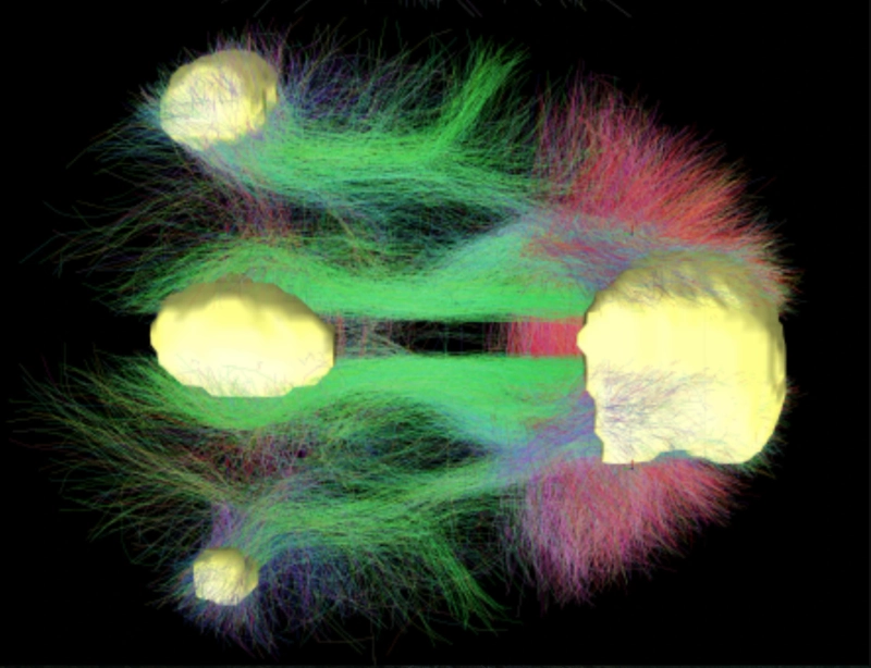 Learn How To Use Psychedelics For Therapy In USA | The Journal Of Psychedelic Psychiatry