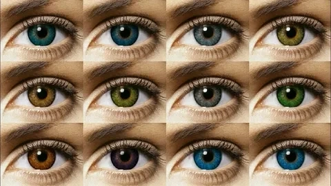 Hazel Lenses in Pakistan: The Best Shades and Prices
