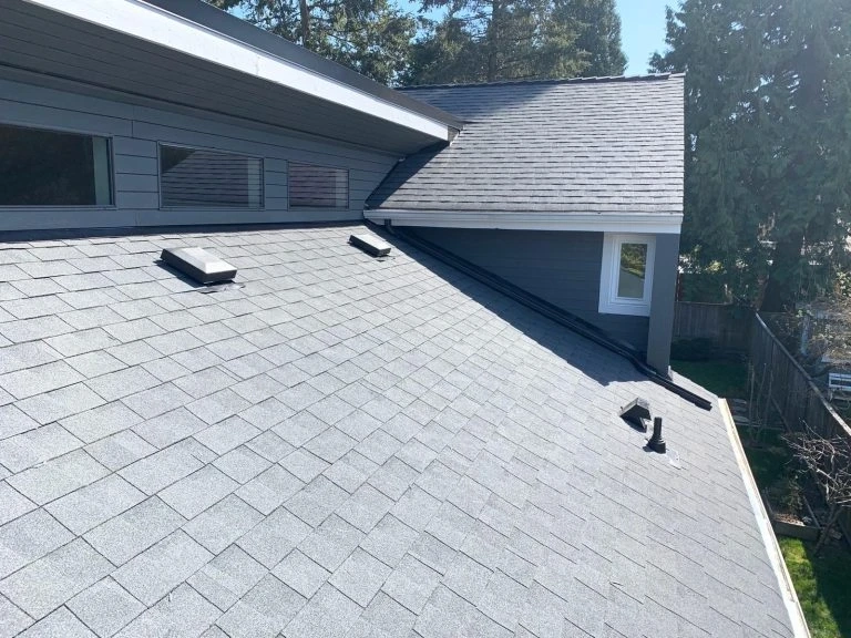 Understanding Shingles Roofs A Comprehensive Guide