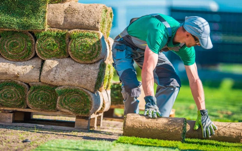 Transform Your Landscape: Expert Landscaping Services
