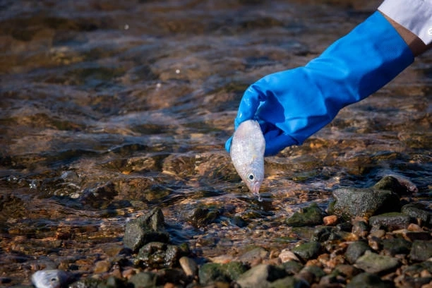 Got Septic Problems Here's How to Fix Your Tank Troubles Like a Pro