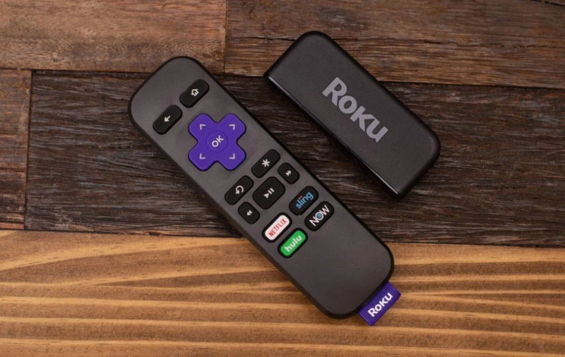 Download Alexa App for Roku Tv Setup