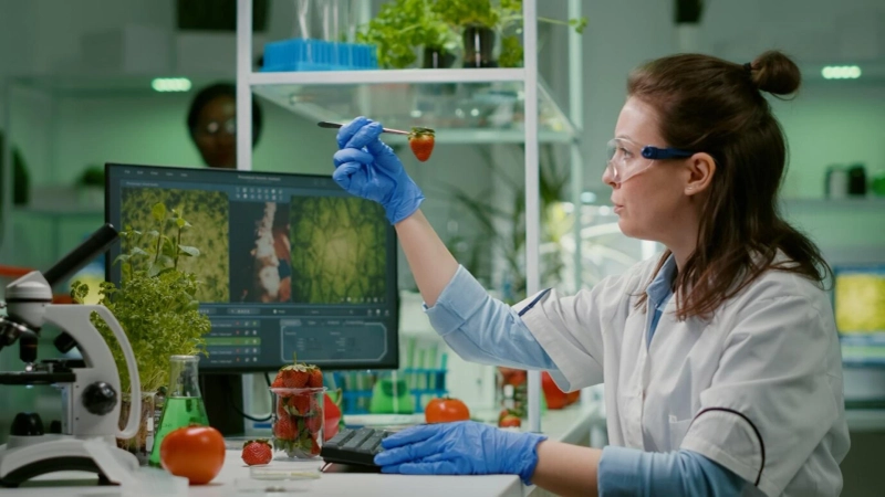 From Early Disease Detection to Medical Research: Role of Image Labeling Services in Healthcare