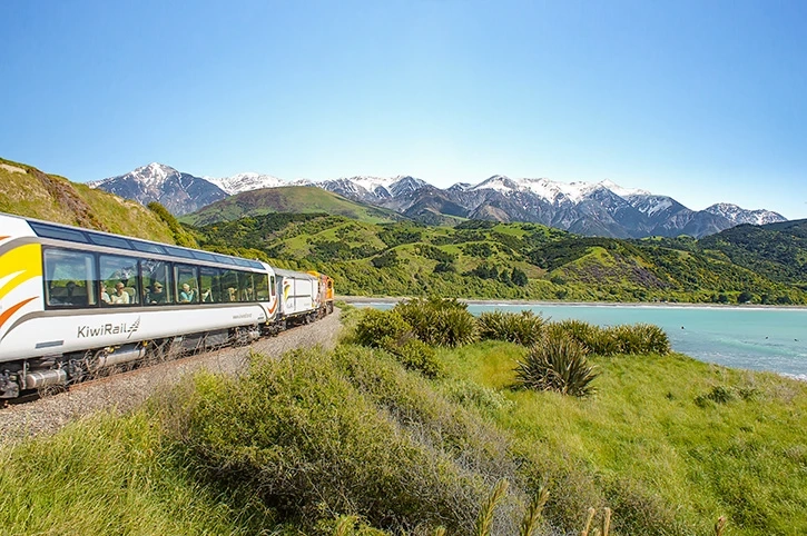 Must-Visit Travel Spots from Picton to Christchurch