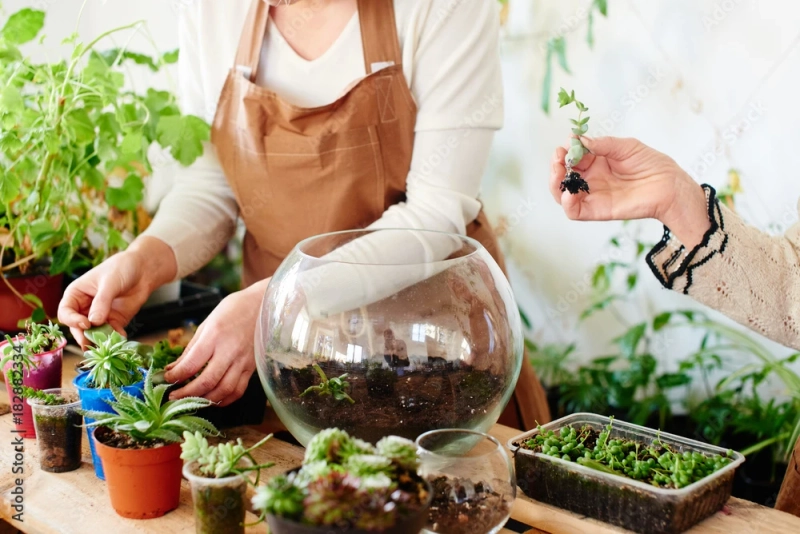 The Green Oasis: Discover the Beauty and Benefits of Terrarium Singapore