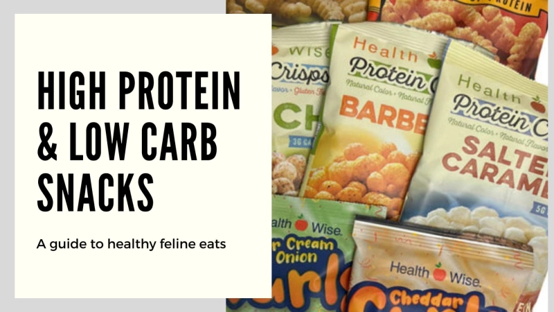 HOW TO MAKE THE MOST OF HIGH PROTEIN & LOW CARB SNACKS