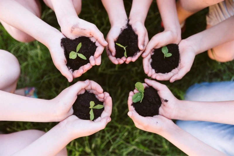The Importance of Environmental Education in India