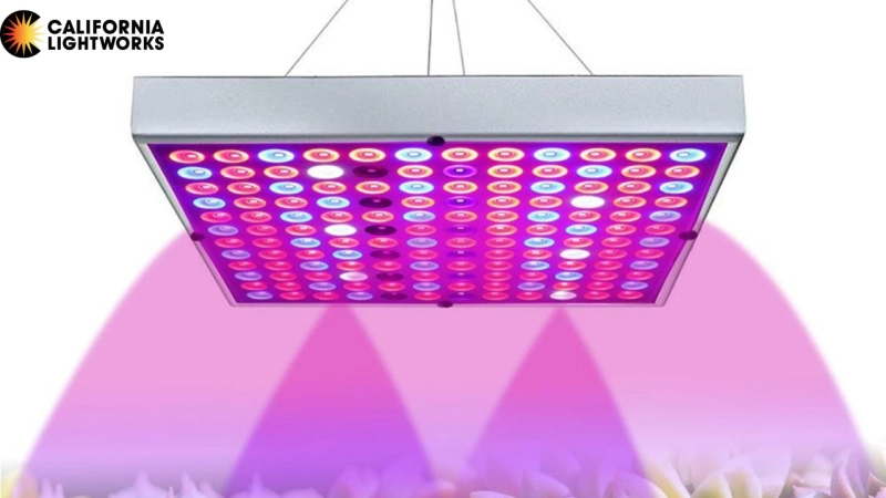 Full Spectrum LED Grow Lights and Their Impact on Growth