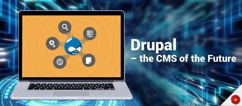 Why Choose Drupal CMS for Enterprise Website Development Project?