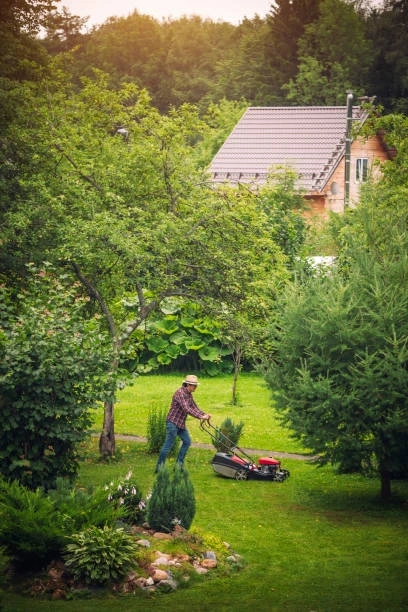 Tree Trimming Scottsdale AZ