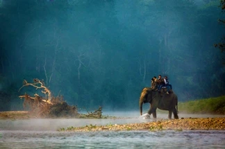 Nepal Package Tour from India – Best Rate from NatureWings, Book Now!