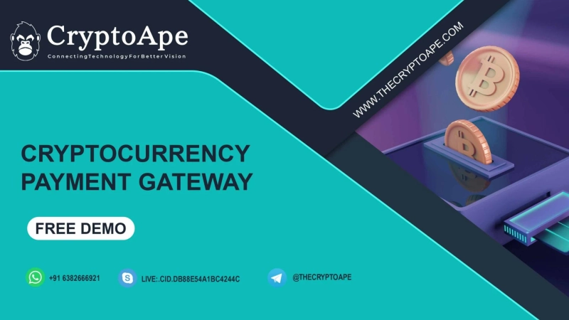 Developing a Crypto Payment Gateway: A Roadmap to Success