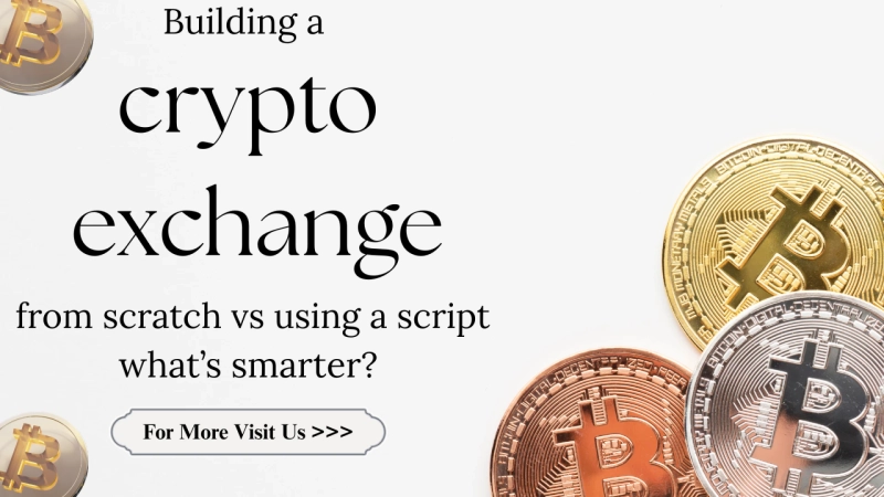 Building a crypto exchange from scratch vs using a script—what’s smarter?