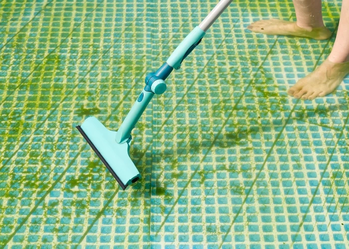 Expert Green Pool Cleaning Tips for Beginners and Pros