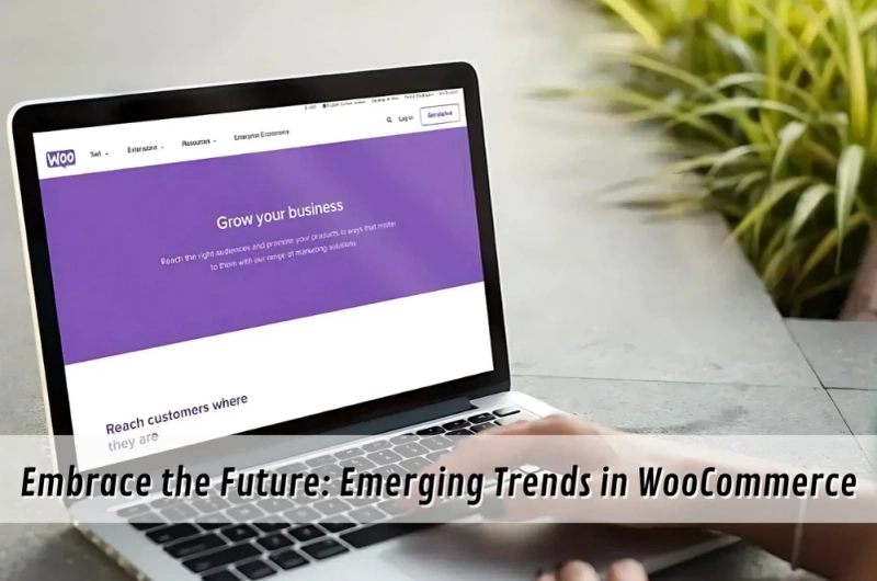 Embrace the Future: Emerging Trends in WooCommerce