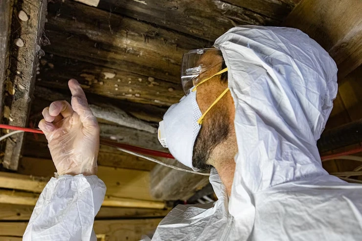 How Do You Know If Your Property Needs an Asbestos Survey or Inspection?
