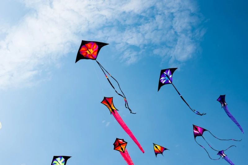 Captions for Makar Sankranti: Festival of Joy and Renewal