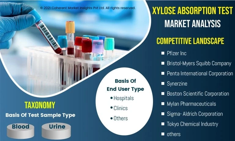 Understanding the Xylose Absorption Test Market: A Comprehensive Overview