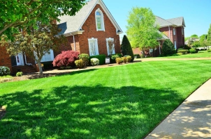 Landscaping Services Crafting Beautiful Outdoor Spaces