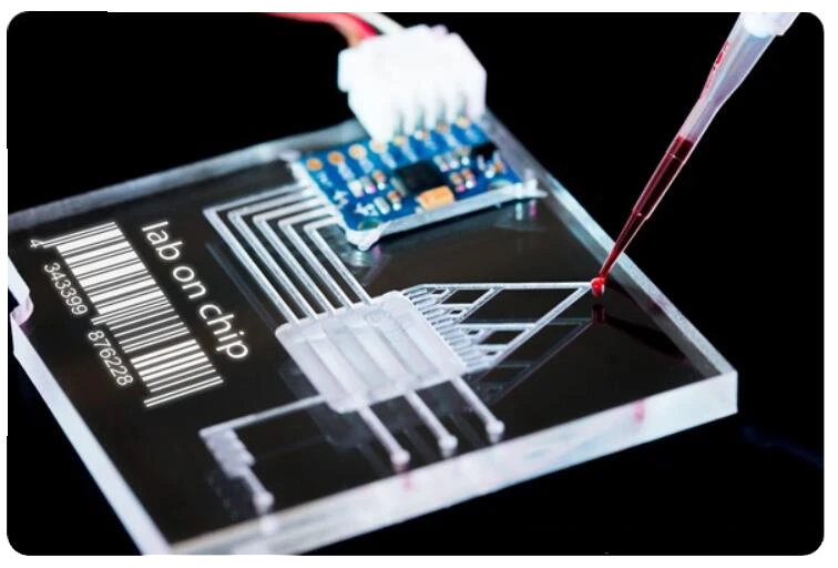 Cell Line Development: The Backbone of Efficient Biologics Production