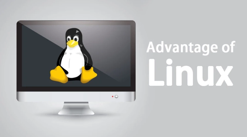 The Design of Linux Hosting