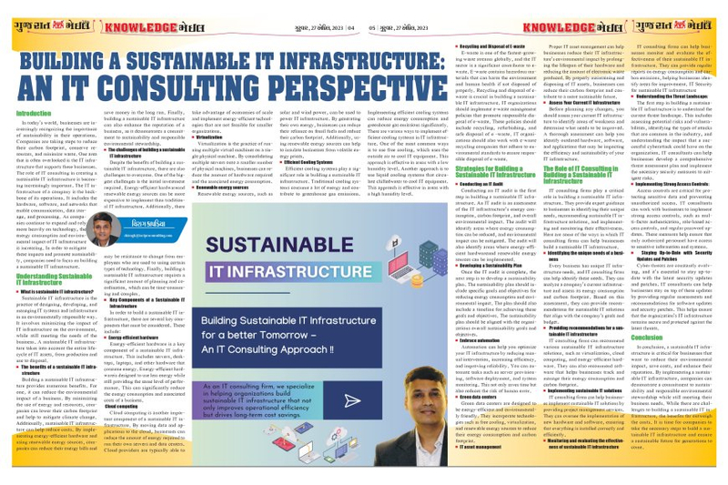 Building a Sustainable IT Infrastructure: An IT Consulting Perspective