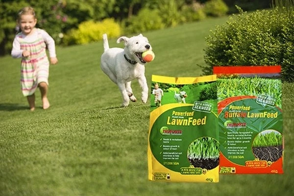 Nurture and Give life to your Garden with Seasol